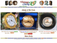 vintageclocks4u.com