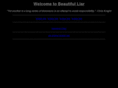 beautifulliar.com
