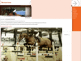 elitesporthorses.net