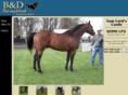 bdthoroughbreds.com
