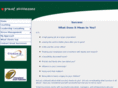 greatsuccesses.com