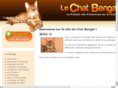le-chat-bengal.com