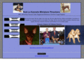 rodlominpins.com