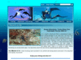 ahaquaadventures.com