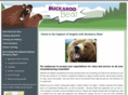 buckaroobear.com