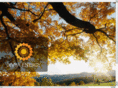 divyaenergy.com