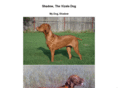 shadowthevizsladog.com