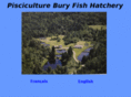buryfishhatchery.com