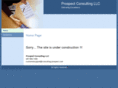 consulting-prospect.com