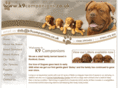 k9companions.co.uk