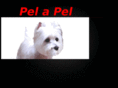 pelapel.net