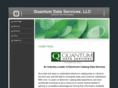 quantumdataservices.com