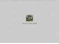 widecombefair.com