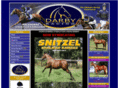 darbyracing.com.au