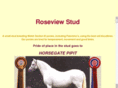 roseviewstud.com