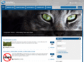 daamps.com