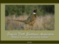 gnsportsmen.com