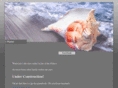hahnsonline.com