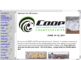 sandsoccer.com