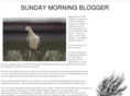 sundaymorningblogger.com