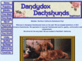 dandydoxdachshunds.com