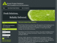 bryantprojectsolutions.com