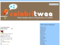 celebritwee.com