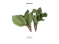 khat.org