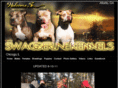 swaggerlinekennels.com