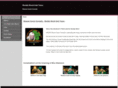 worstirishtenor2010.com