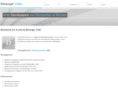 berenger-vidal.com