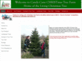 candycanechristmastreefarms.com