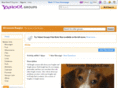 minnesotabeagles.com
