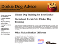 dorkiedogadvice.com