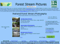 foreststreams.com