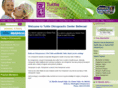 seattlebellevuechiropractor.com