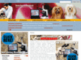 veterinarysurgicalinstruments.com