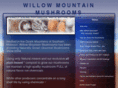 willowmountainmushrooms.com