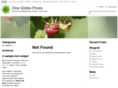oneglobepress.com