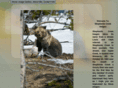 shepherdscreekimages.com