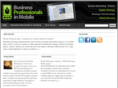 bizprosmobile.com