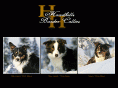 handhillsbordercollies.com