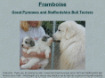 arizonagreatpyrenees.com