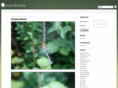 brandtmark.com