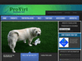 proviri.com