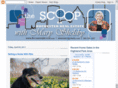 rochesterscoop.com