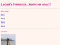 aryanstenstrom.com