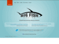 bigfishcasting.com