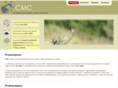 consultoracmc.es