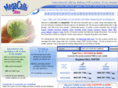 megacalls.net